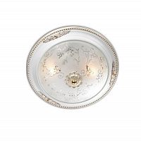 потолочный светильник odeon light corbea 2670/2c в Пензе