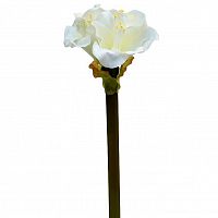 амариллис кремовый 57 см (12) в Пензе