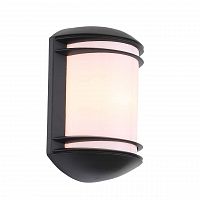 уличный настенный светильник st luce agio sl076.401.01 в Пензе