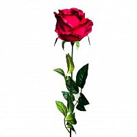 роза бордовая 71 см (24) в Пензе