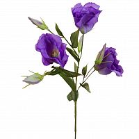 лизиантус фиолетовый 78 см (36) в Пензе
