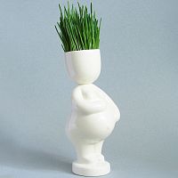 набор для выращивания eco мама в Пензе