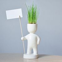 набор для выращивания eco знаменосец в Пензе