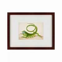 картина: green iguana, 1701 в Пензе