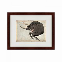 картина: signs of zodiac taurus, 1825 в Пензе