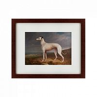 картина: portrait of a greyhound, 1744 в Пензе