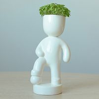 набор для выращивания eco футболист в Пензе