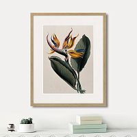 картина: exotic plants of the world №4, 1815г. в Пензе