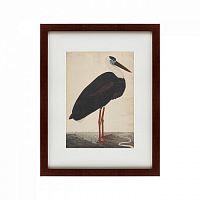 картина: black stork in a landscape, индия, 1780 в Пензе