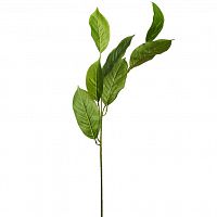 листья жакаранды 84 см (24) в Пензе