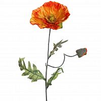 мак розовый 72 см (24) в Пензе