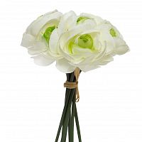 букет кремовых камелий 22 см (12) в Пензе