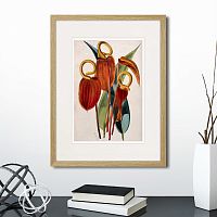 картина: exotic plants of the world №15, 1815г. в Пензе