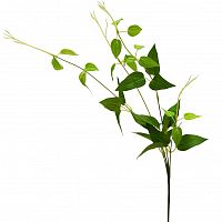 веточка с листьями 80 см (24) в Пензе