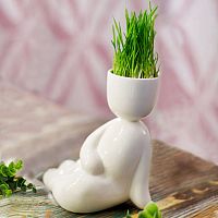 набор для выращивания eco русалка в Пензе