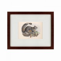 картина: the squirrel, 1879 в Пензе