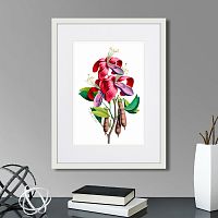 картина: caribian flora pink and purple flower, 1740г. в Пензе