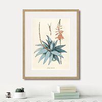 картина: fragmenta botanica №7, 1809г. в Пензе