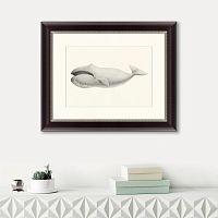 картина: bowhead whale (balaena mysticetus), 1856 в Пензе