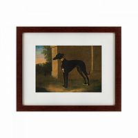 картина: portrait of a greyhound called pompon, 1746 в Пензе