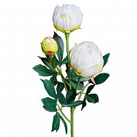 пион кремовый 64 см (24) в Пензе