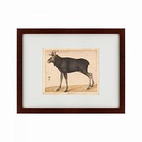 картина: moose, 1560 в Пензе