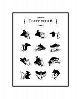 постер театр теней в Пензе