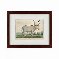 картина: cape ox, 1778 в Пензе