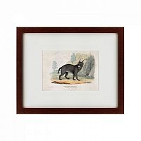 картина: a caracal or lynx, 1830 в Пензе
