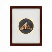 картина: owlet moth, 1700 в Пензе