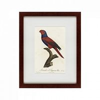 картина: perruche a chaperon bleu, 1801 в Пензе